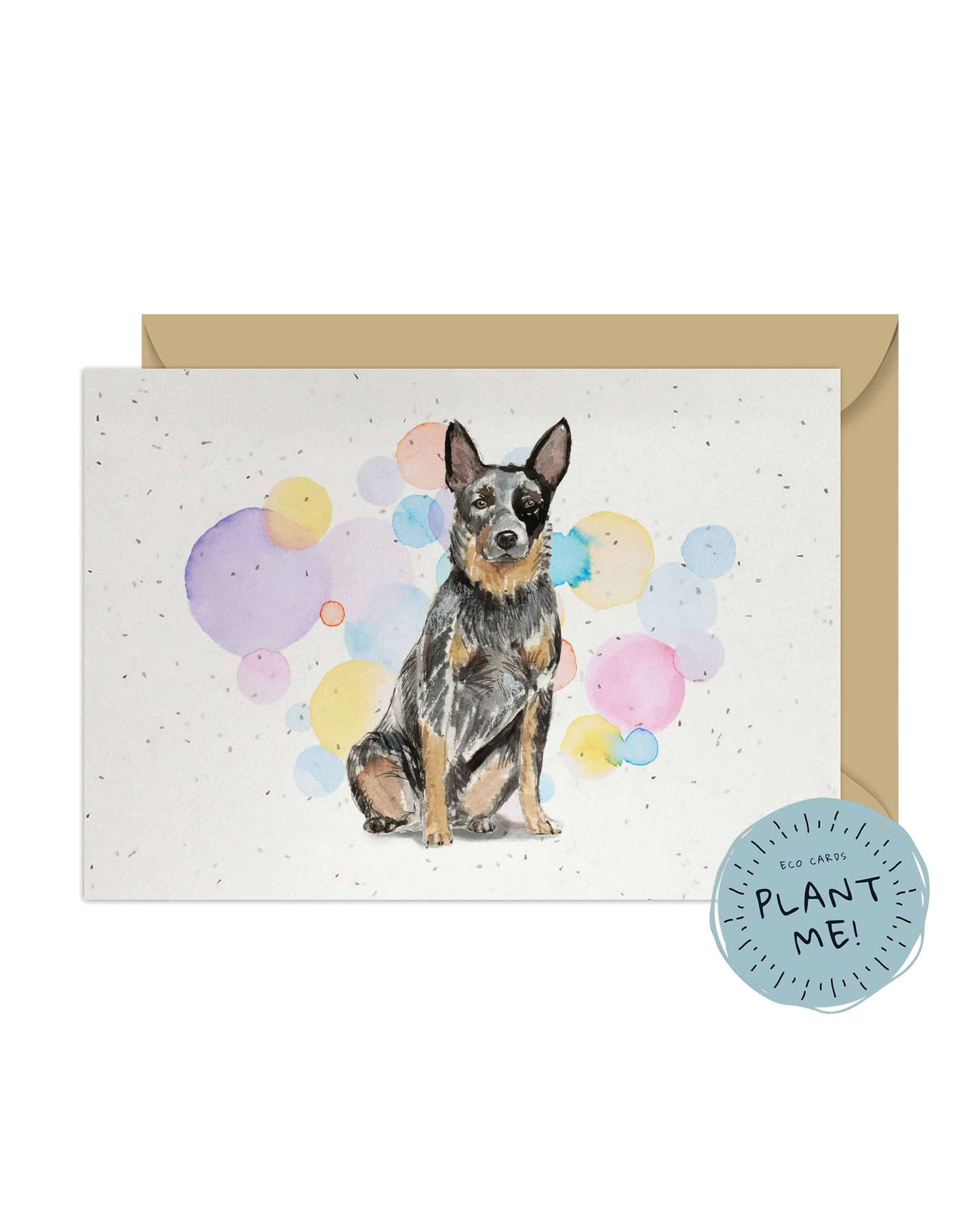 Australian Cattle Dog Splash Card