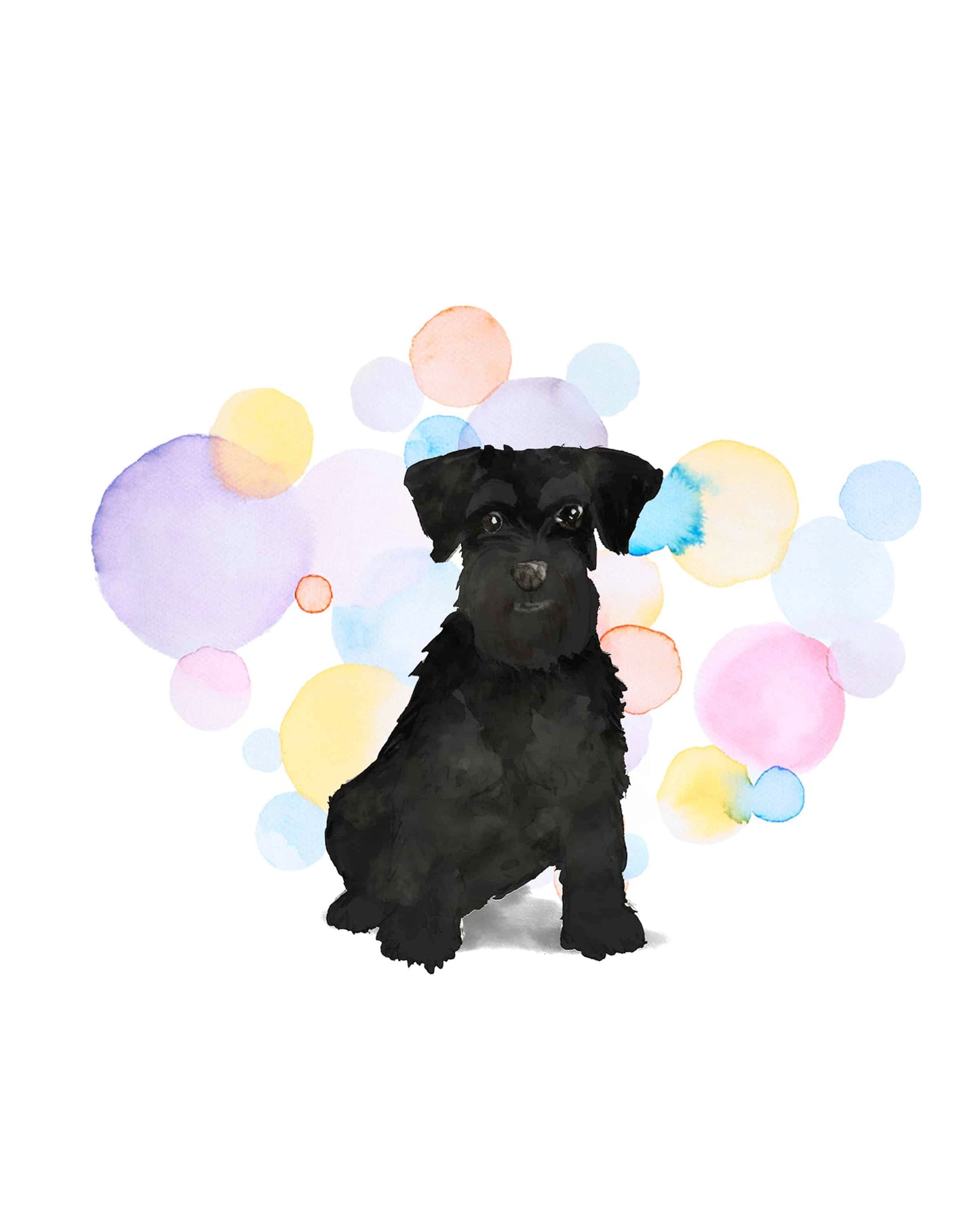 Black Miniature Schnauzer Dog Splash Card