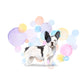 Black & White French Bulldog Splash Card