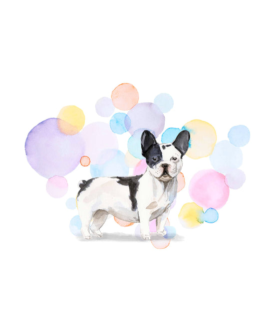 Black & White French Bulldog Splash Card