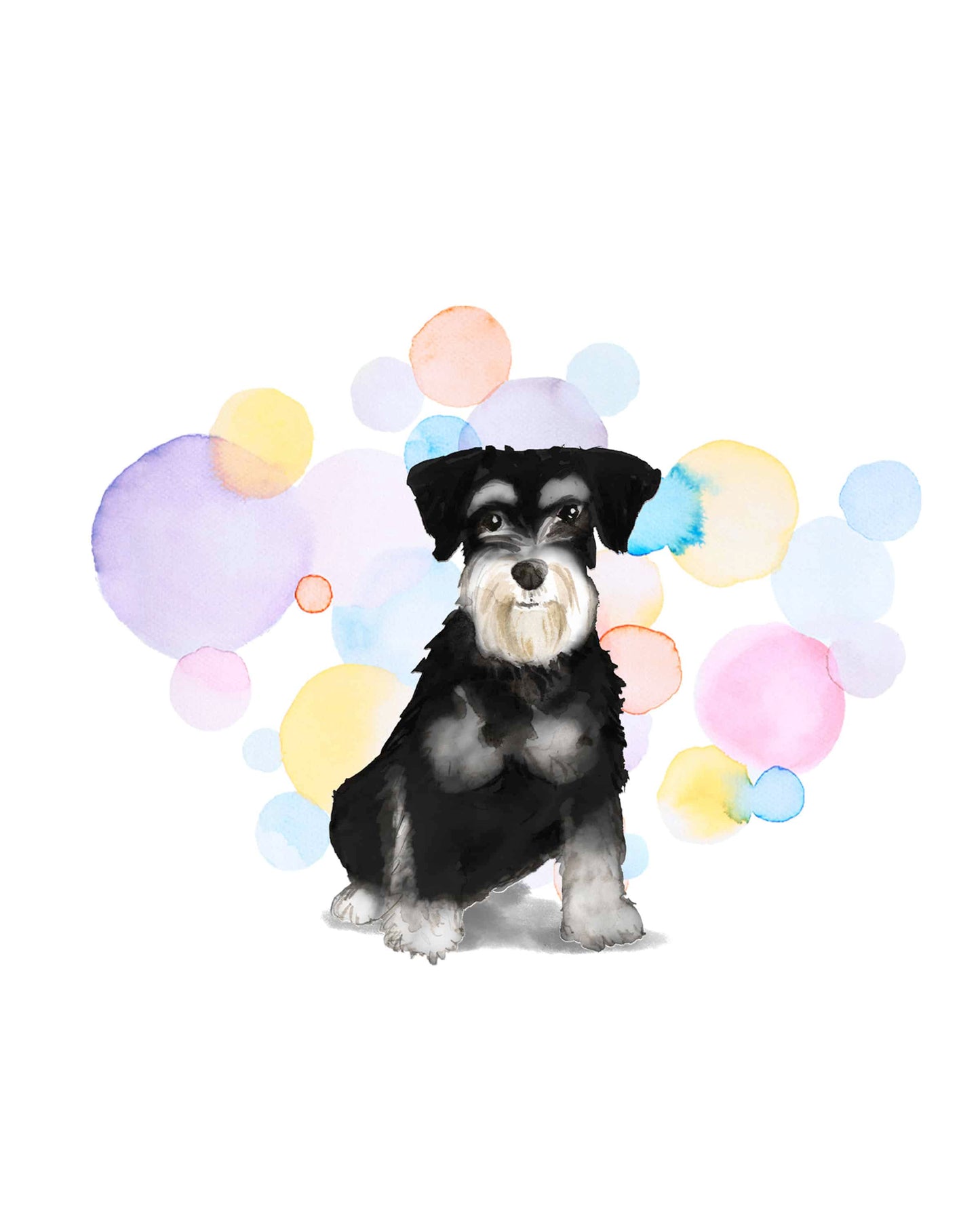 Black & White Miniature Schnauzer Dog Splash Card