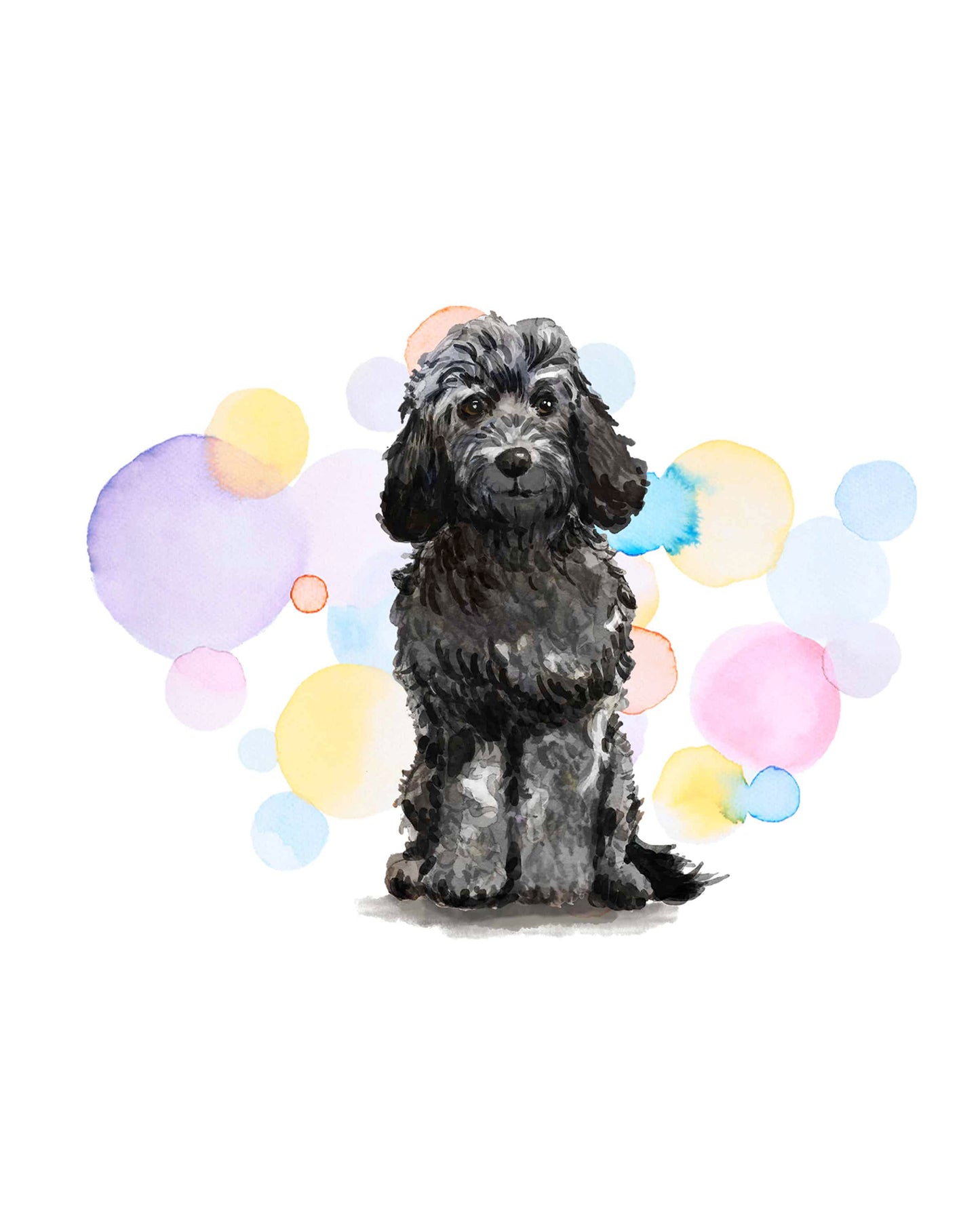 Black Cockapoo Dog Splash Card