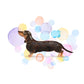 Tan Dachshund Card - Splash