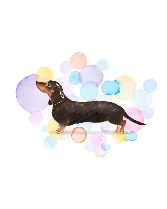 Tan Dachshund Card - Splash