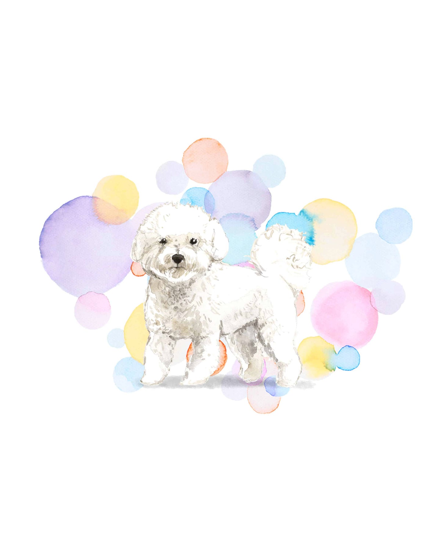 Bichon Frise Dog Splash Card