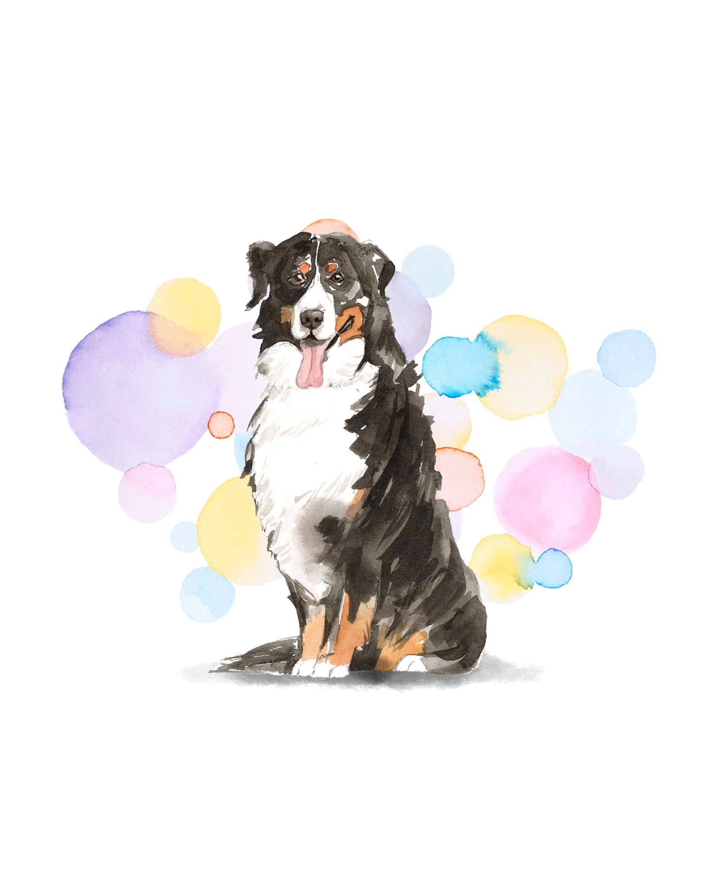 Bernese Mountain Dog Splash Card