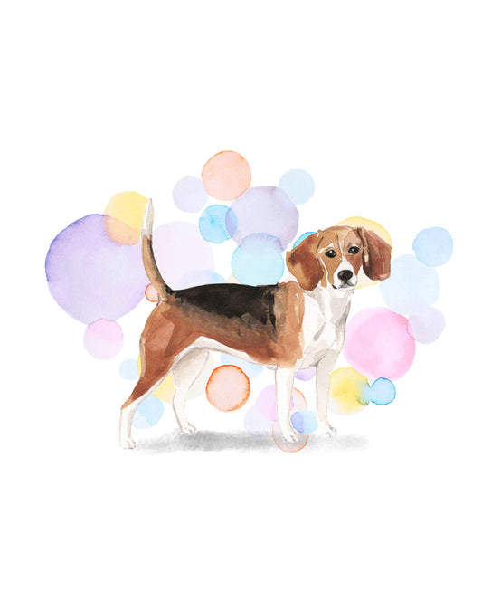 Beagle Dog Splash Card