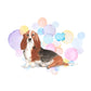 Basset Hound Dog Splash Card