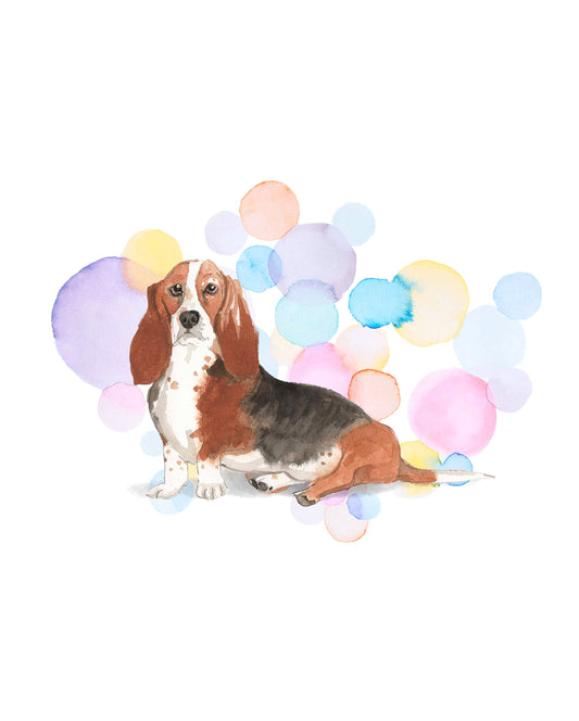 Basset Hound Dog Splash Card