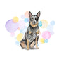 Australian Cattle Dog Splash Card