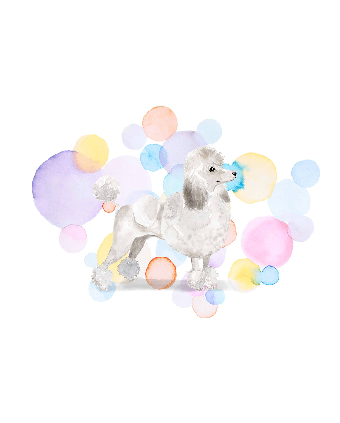 White Poodle Dog Splash Card