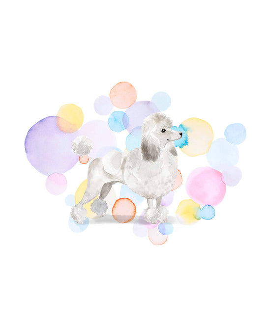 White Poodle Dog Splash Card