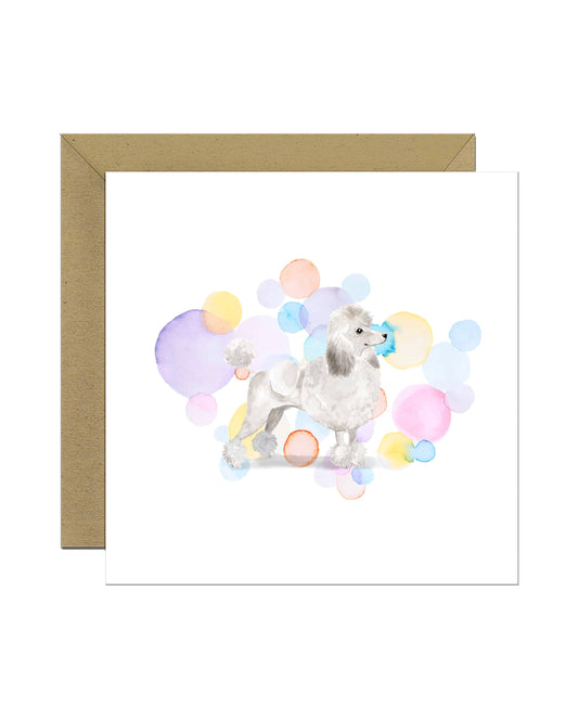 White Poodle Dog Splash Card