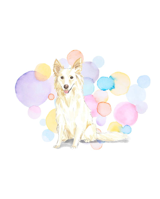 White Collie Dog Splash Card