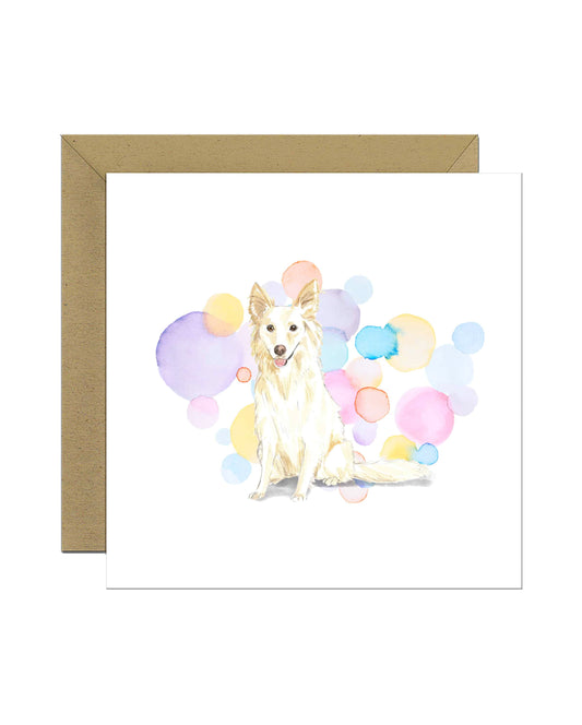 White Collie Dog Splash Card