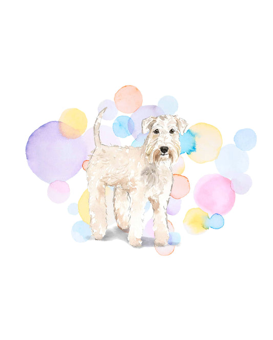 Wheaten Terrier Dog Splash Card