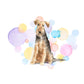 Welsh Terrier Dog Splash Card