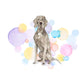 Weimaraner Dog Splash Card