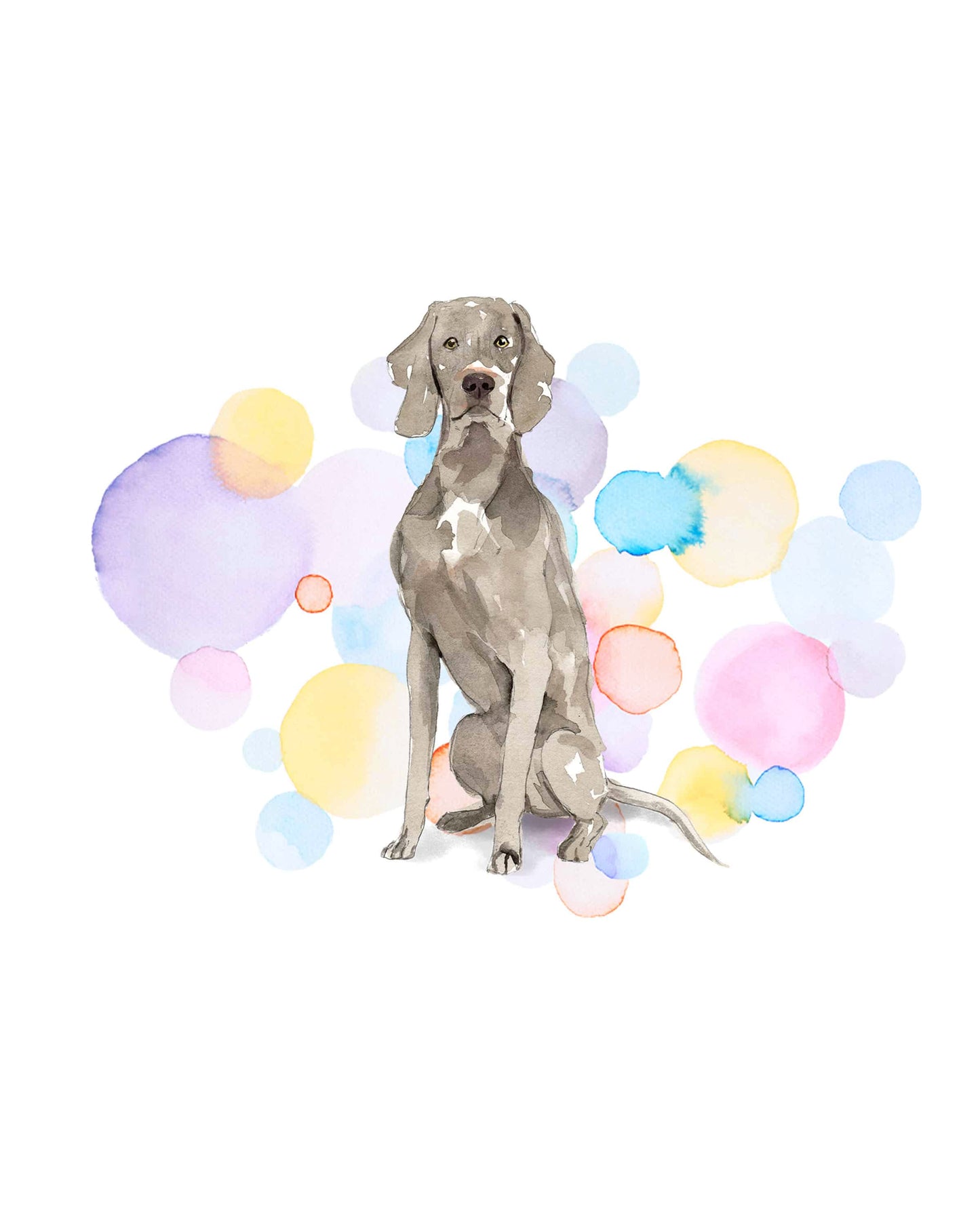 Weimaraner Dog Splash Card