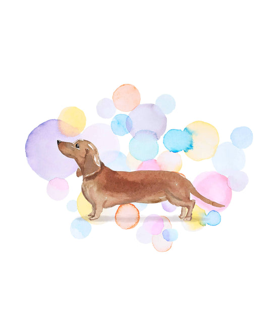 Dachshund Dog Splash Card