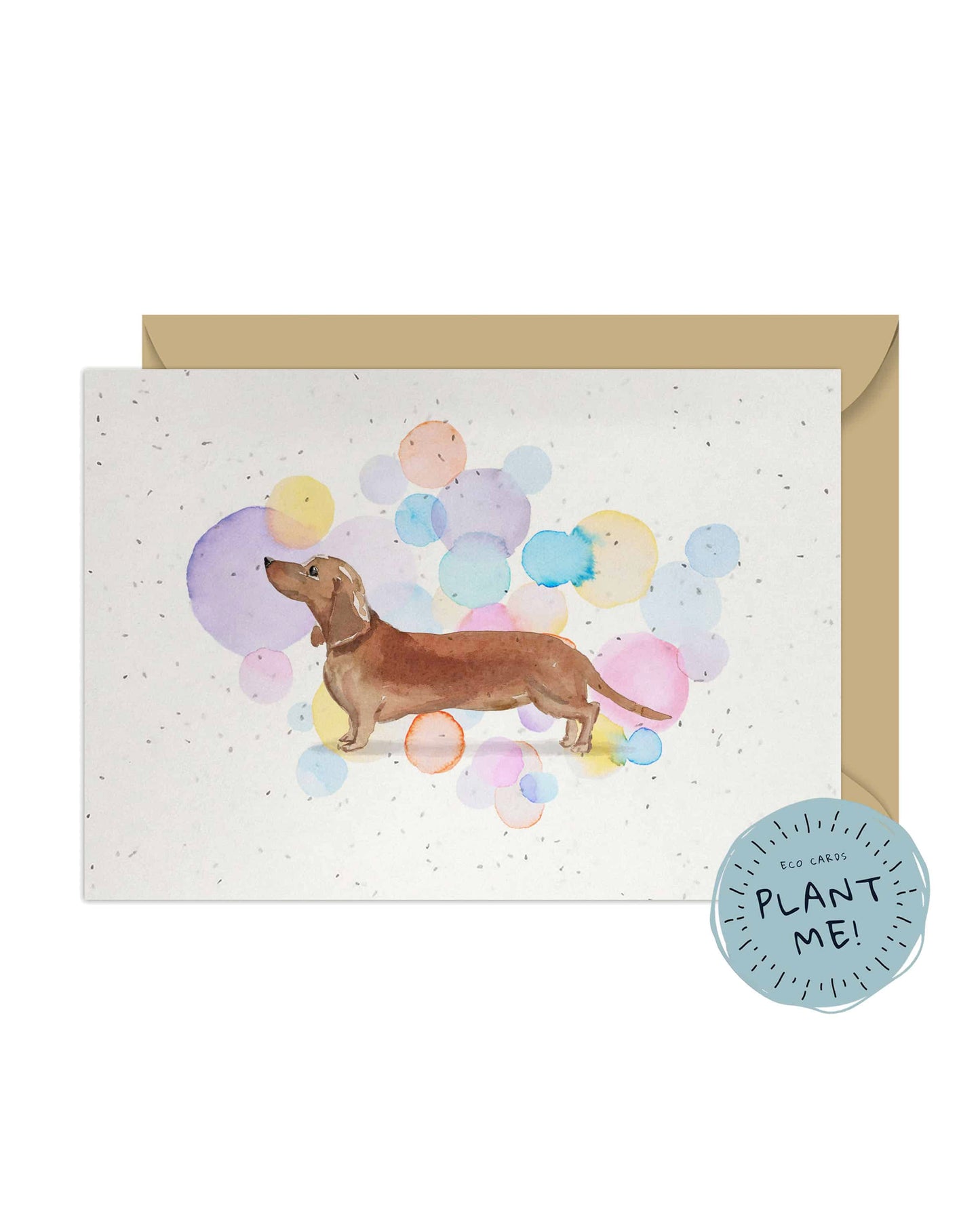 Dachshund Dog Splash Card