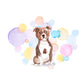 Staffordshire Bull Terrier Dog Splash Card