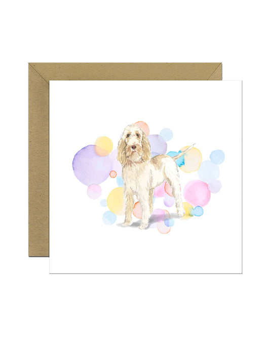 Spinone Italiano Dog Splash Card