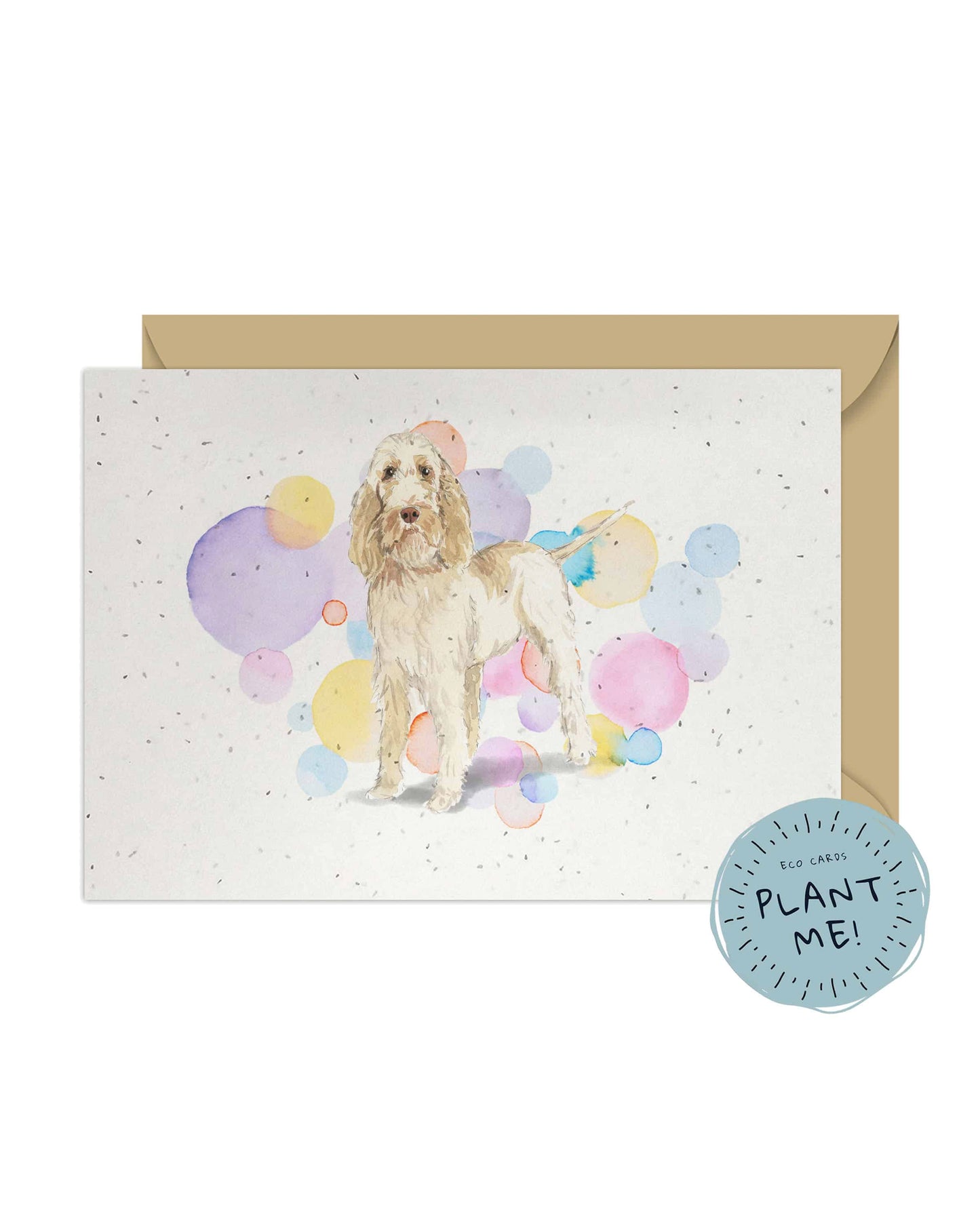 Spinone Italiano Dog Splash Card