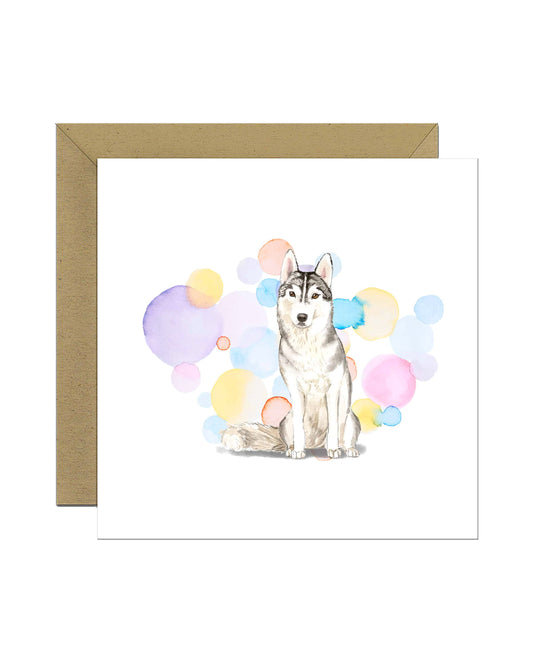 Siberian Husky Dog Splash Card