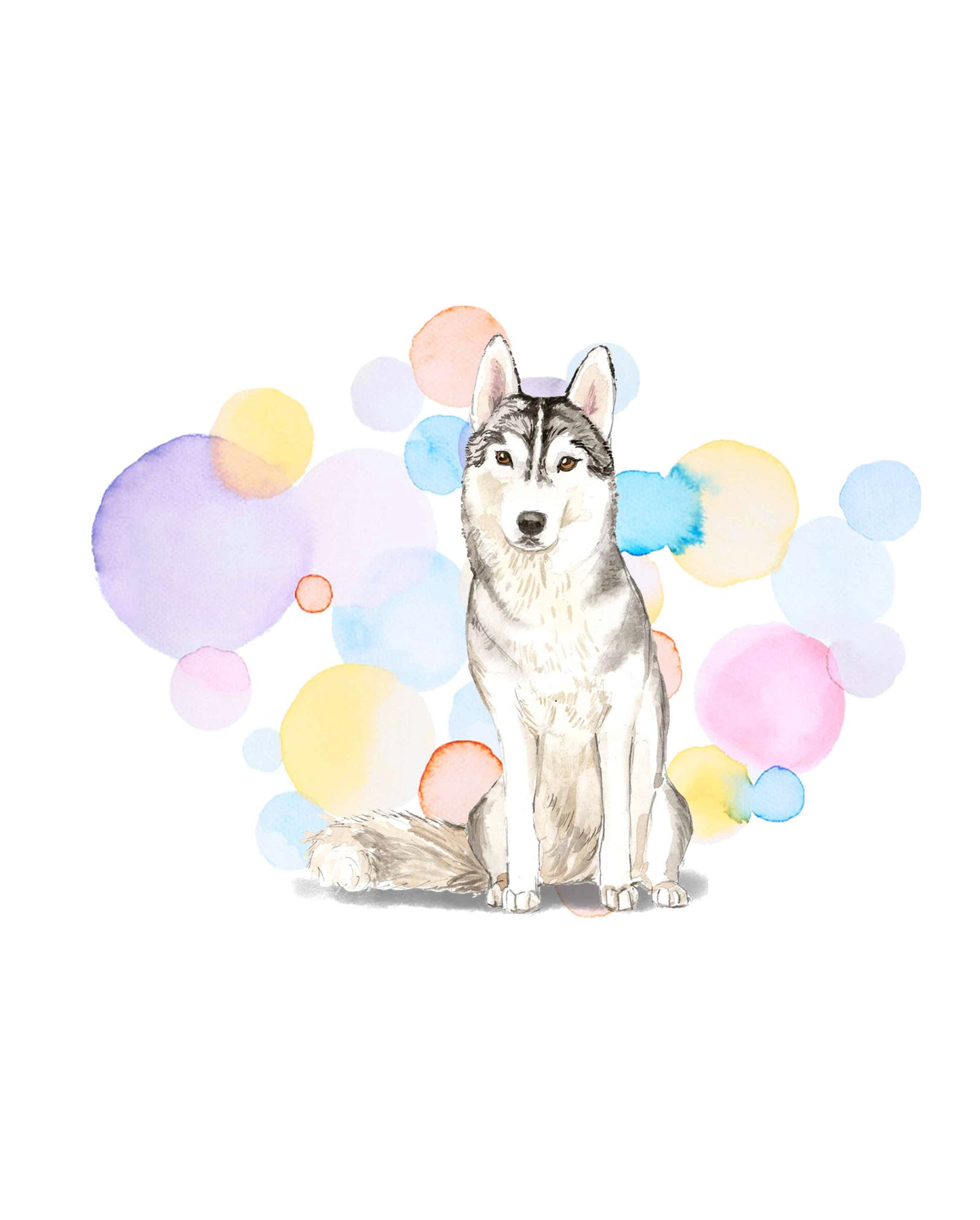 Siberian Husky Dog Splash Card