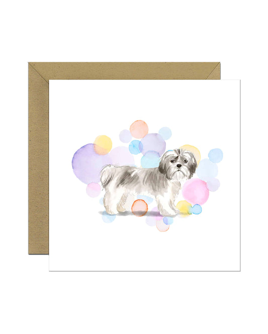 Short Hair Shih Tzu Dog Splash Card