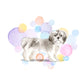 Short Hair Shih Tzu Dog Splash Card