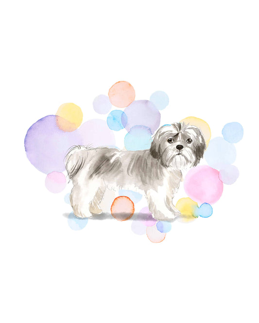 Short Hair Shih Tzu Dog Splash Card