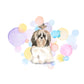 Long Hair Shih Tzu Dog Splash Card