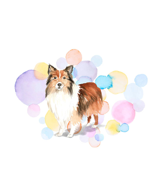 Shetland Sheepdog Dog Splash Card