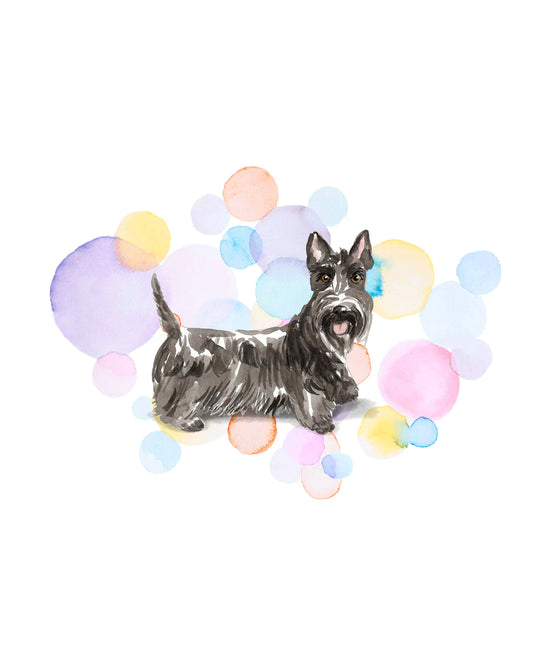 Scottish Terrier Dog Splash Card