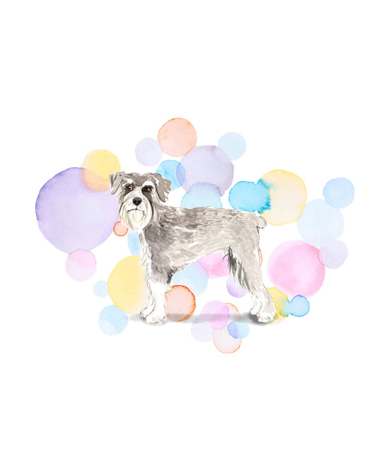 Schnauzer Dog Splash Card