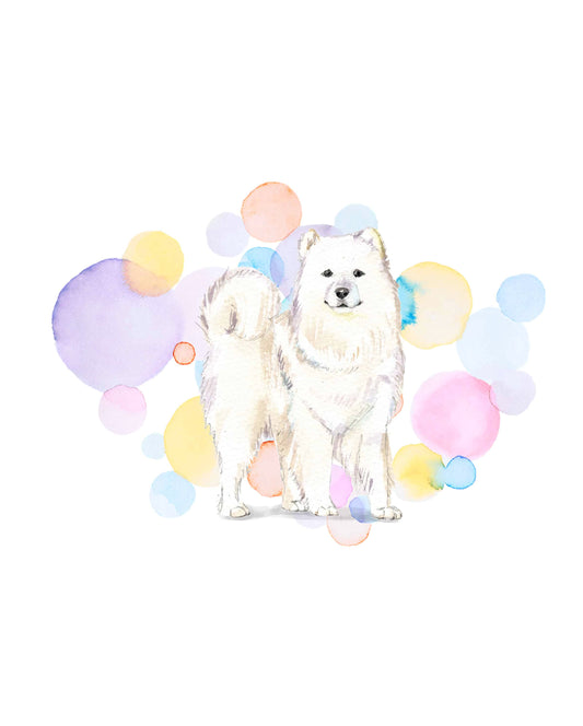 Samoyed Dog Splash Card