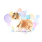 Rough Collie Dog Splash Card