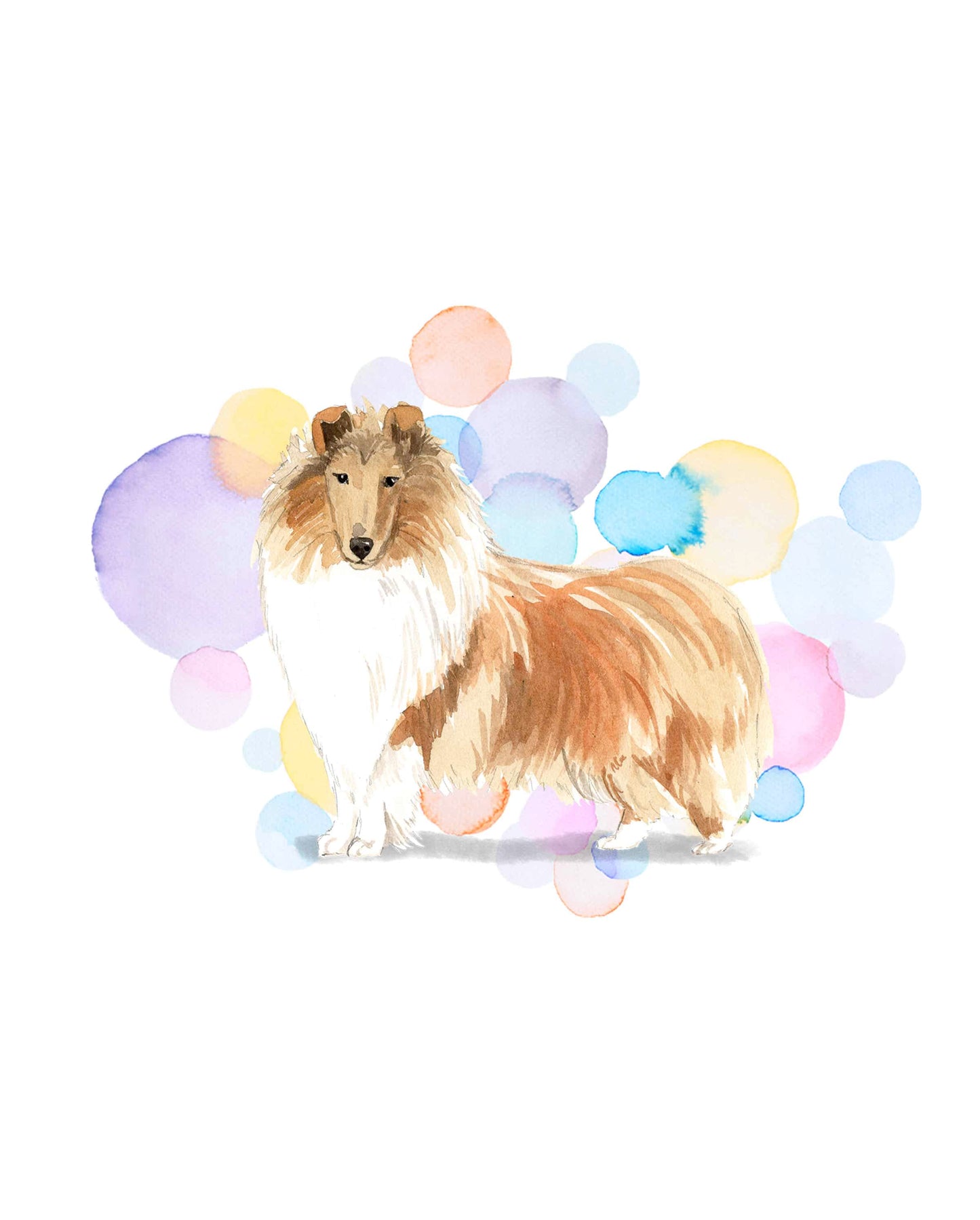 Rough Collie Dog Splash Card