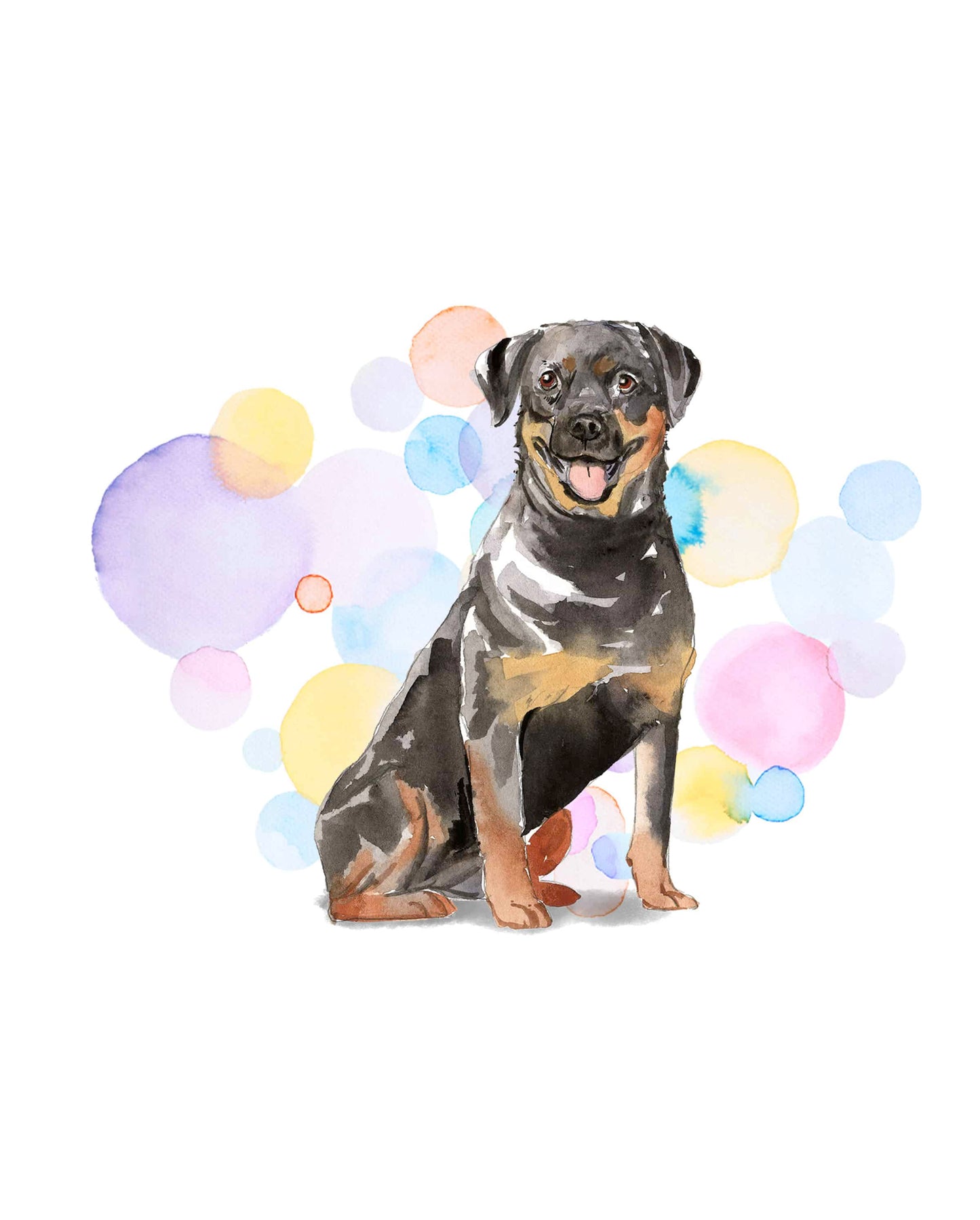 Rottweiler Dog Splash Card