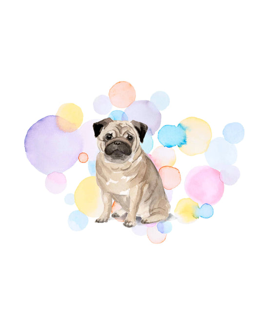 Pug Dog Splash Card