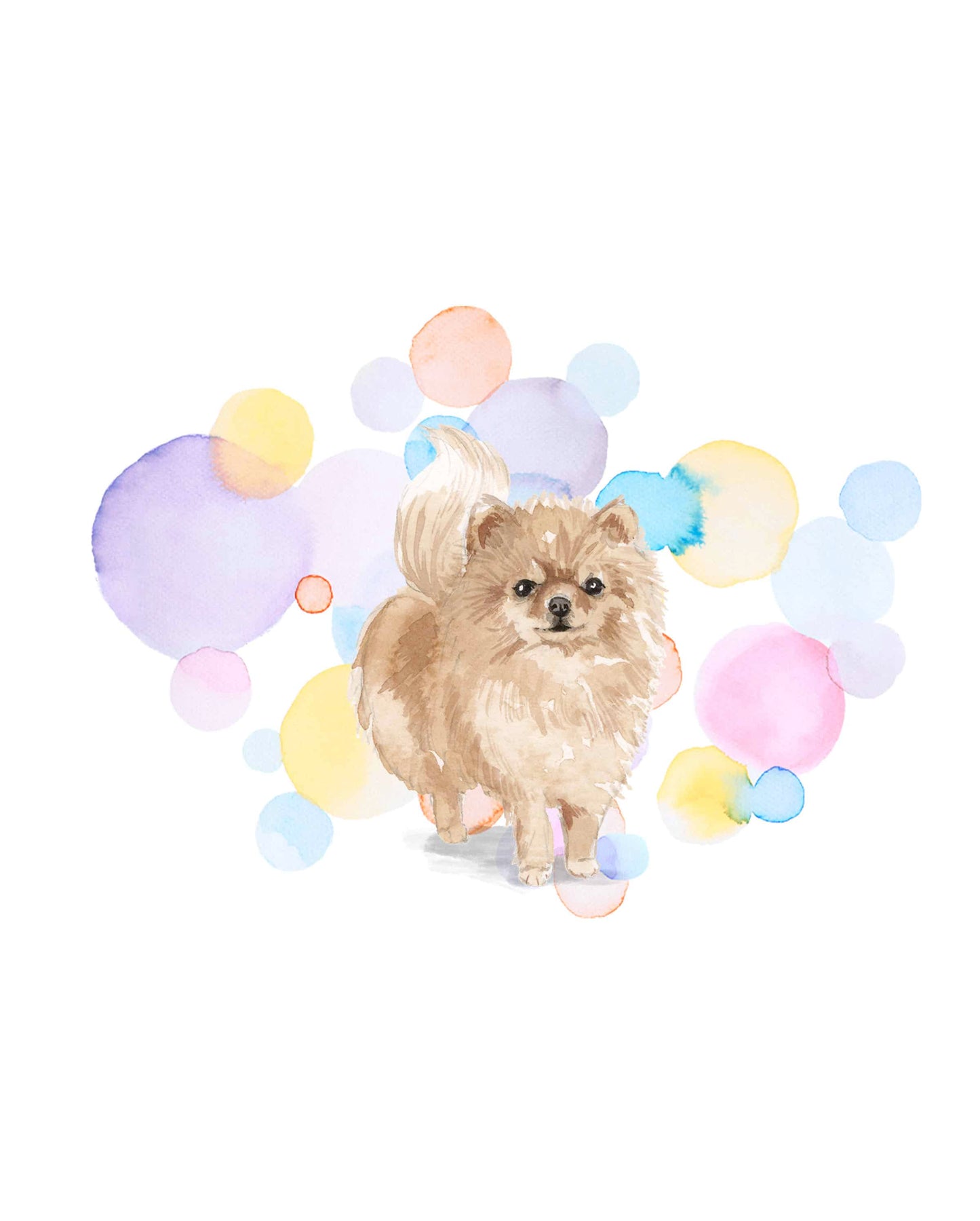 Pomeranian Dog Splash Card