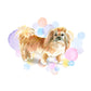 Pekingese Dog Splash Card