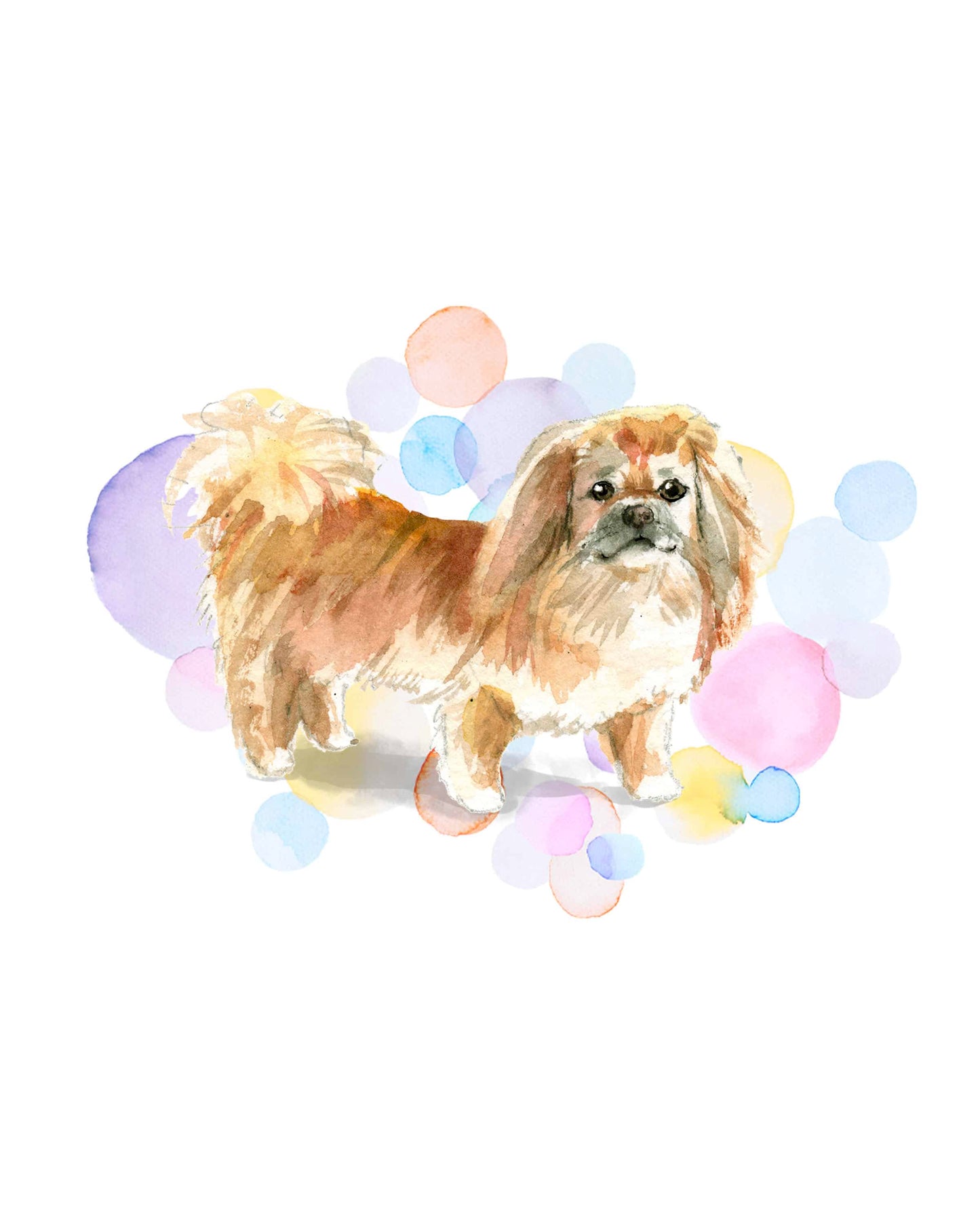 Pekingese Dog Splash Card