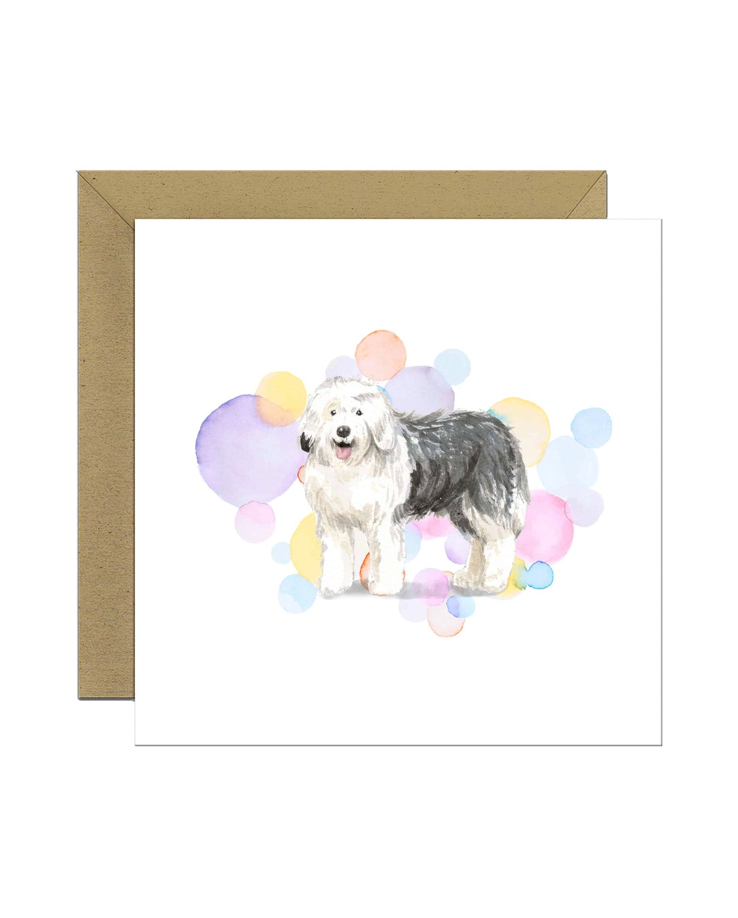 Old English Sheepdog Splash Card