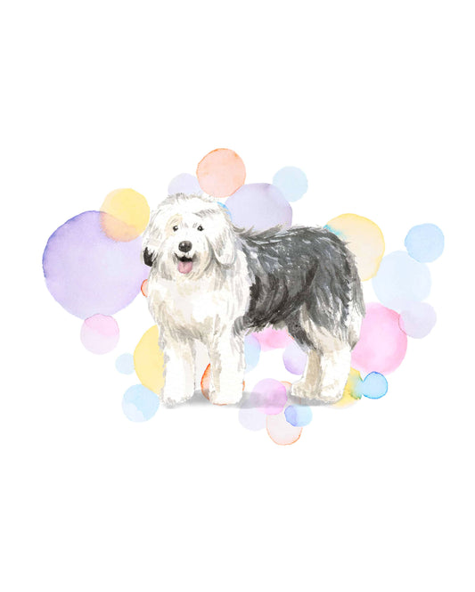 Old English Sheepdog Splash Card