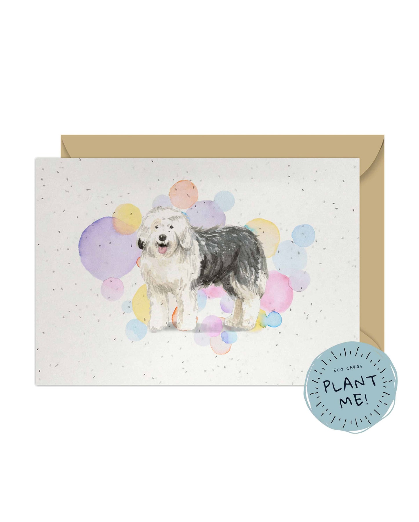 Old English Sheepdog Splash Card