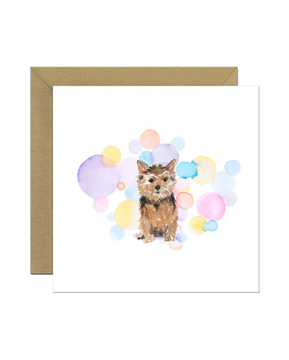 Norfolk Terrier Dog Splash Card