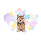 Norfolk Terrier Dog Splash Card